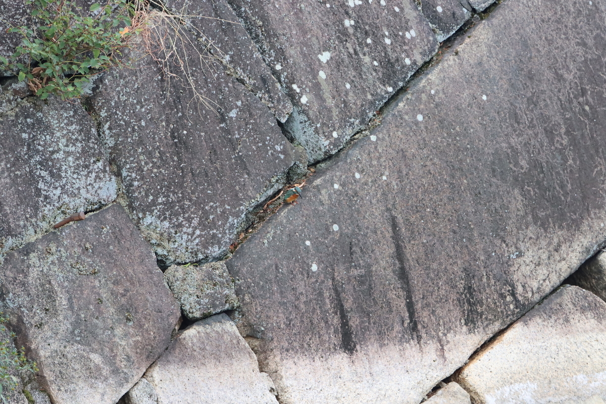 f:id:KEN-S:20211023170041j:plain