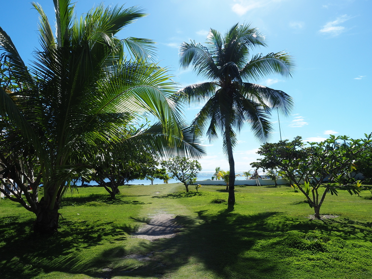 f:id:KENZ8:20190714082751j:plain