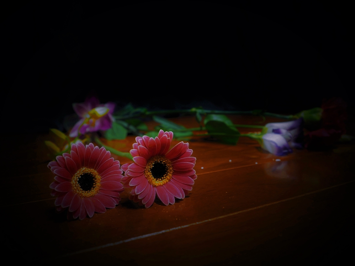 f:id:KENZ8:20190717085545j:plain
