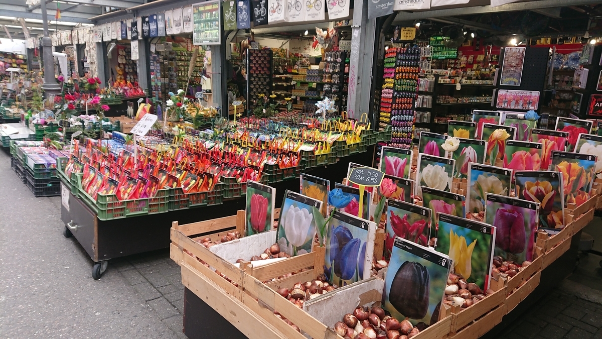 f:id:KENZ8:20190918062821j:plain