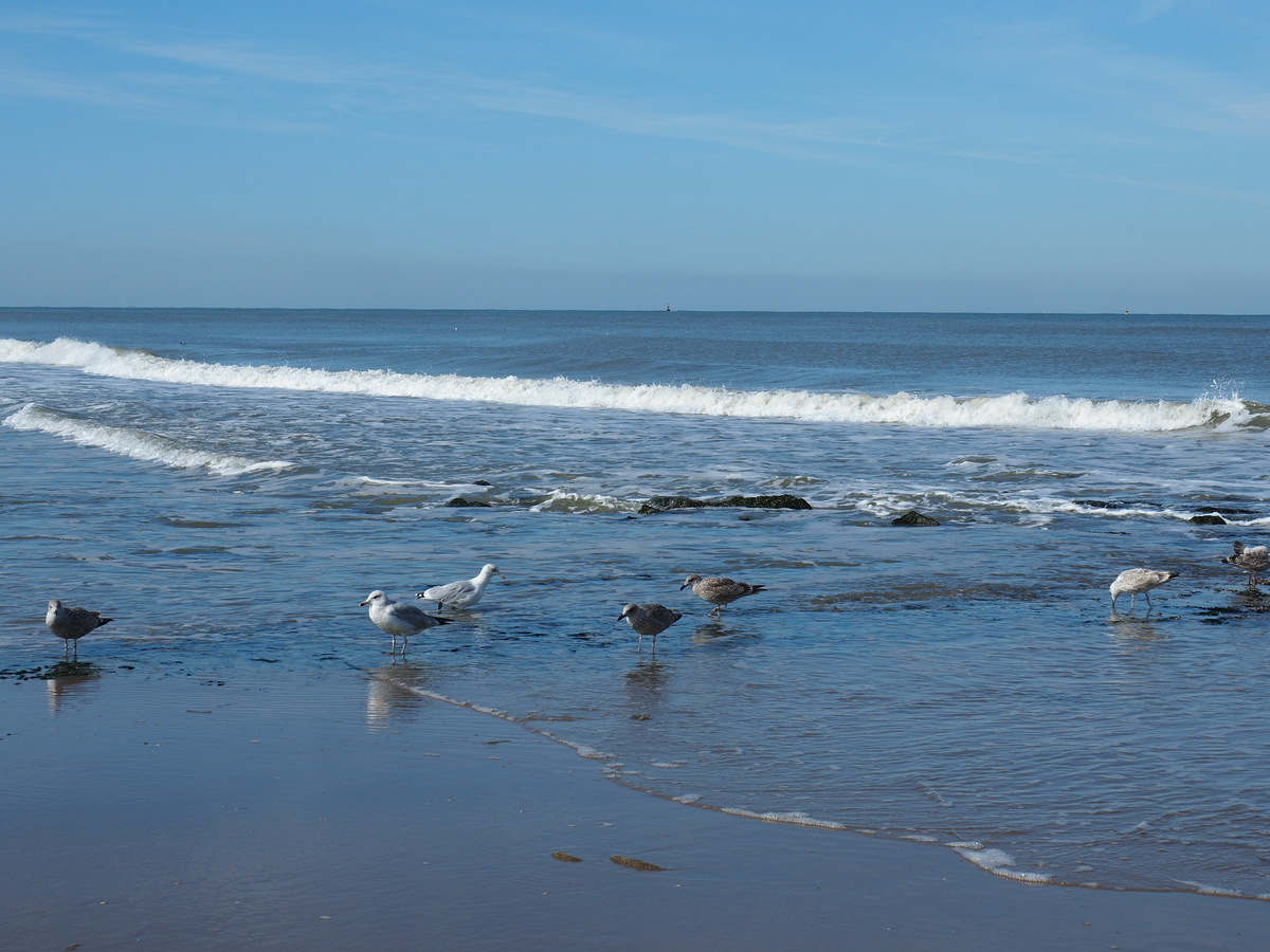 f:id:KENZ8:20190921071937j:plain