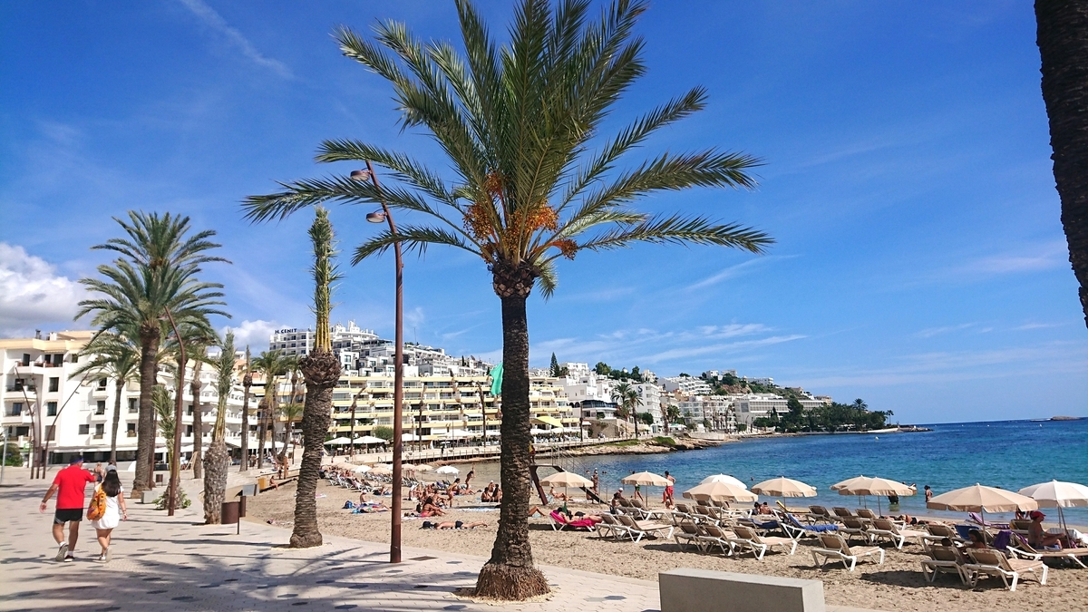 f:id:KENZ8:20191201101155j:plain