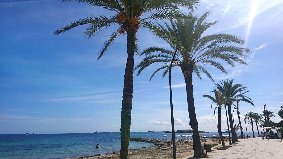 f:id:KENZ8:20191201101410j:plain