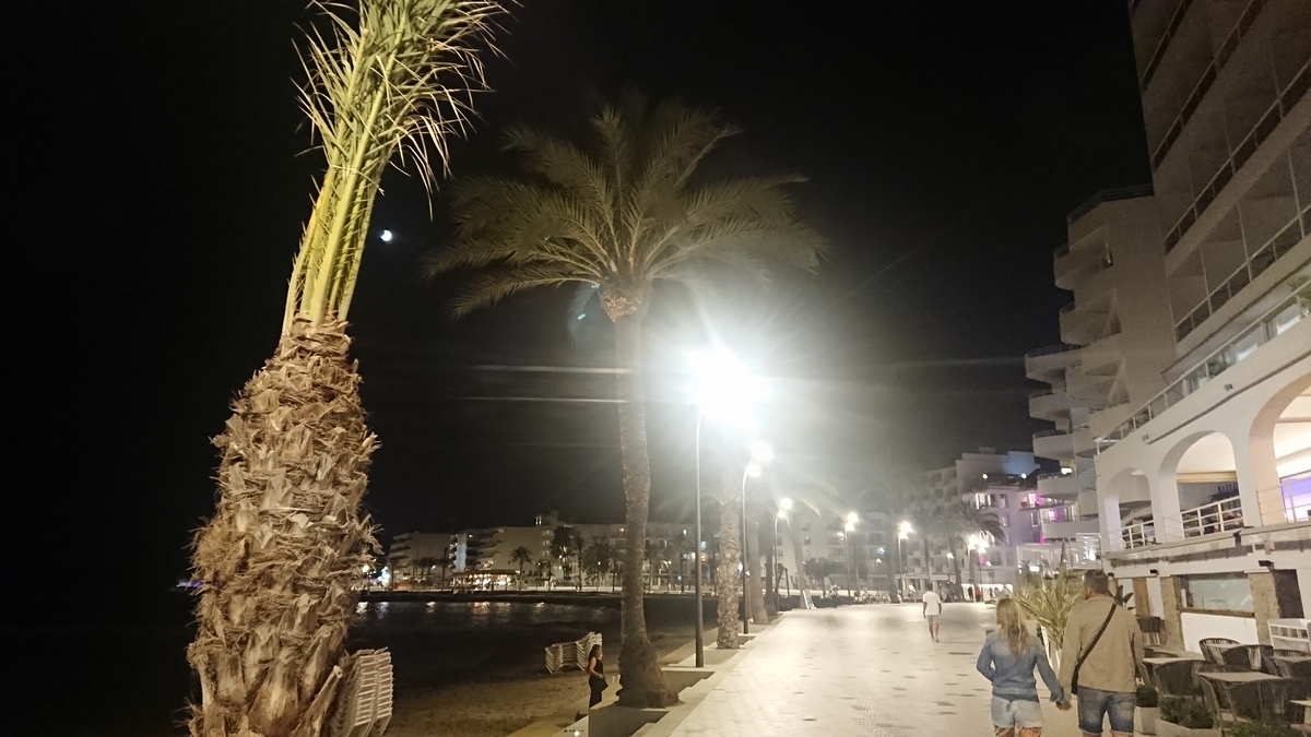 f:id:KENZ8:20191201112958j:plain