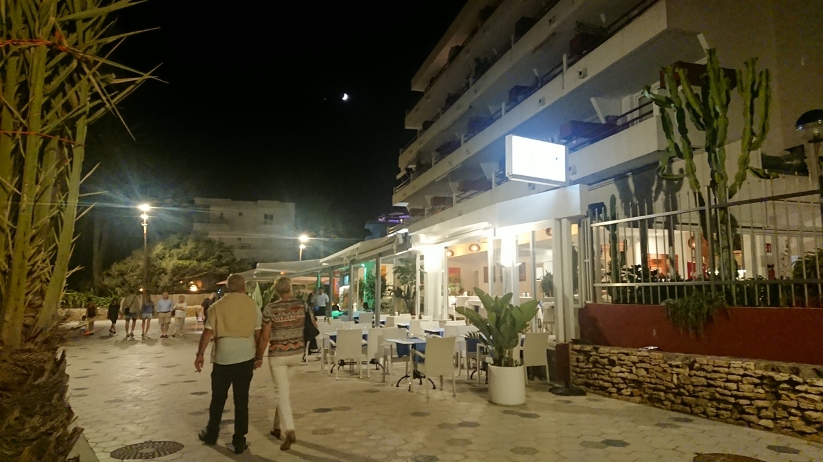 f:id:KENZ8:20191201120109j:plain