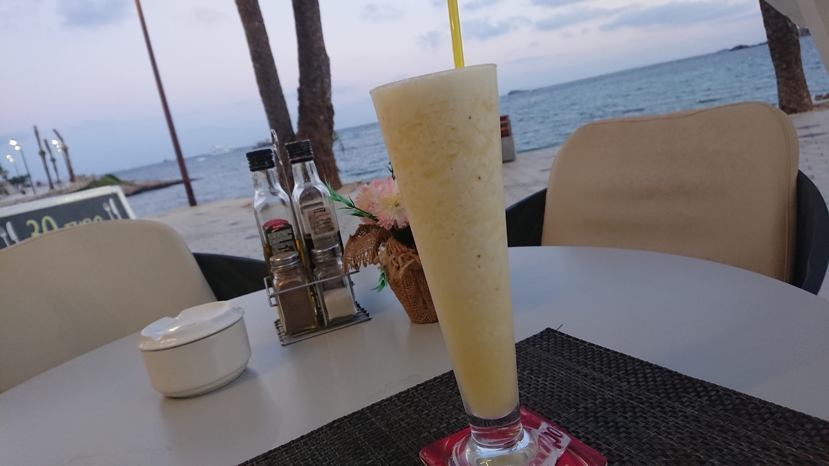 f:id:KENZ8:20191204051629j:plain
