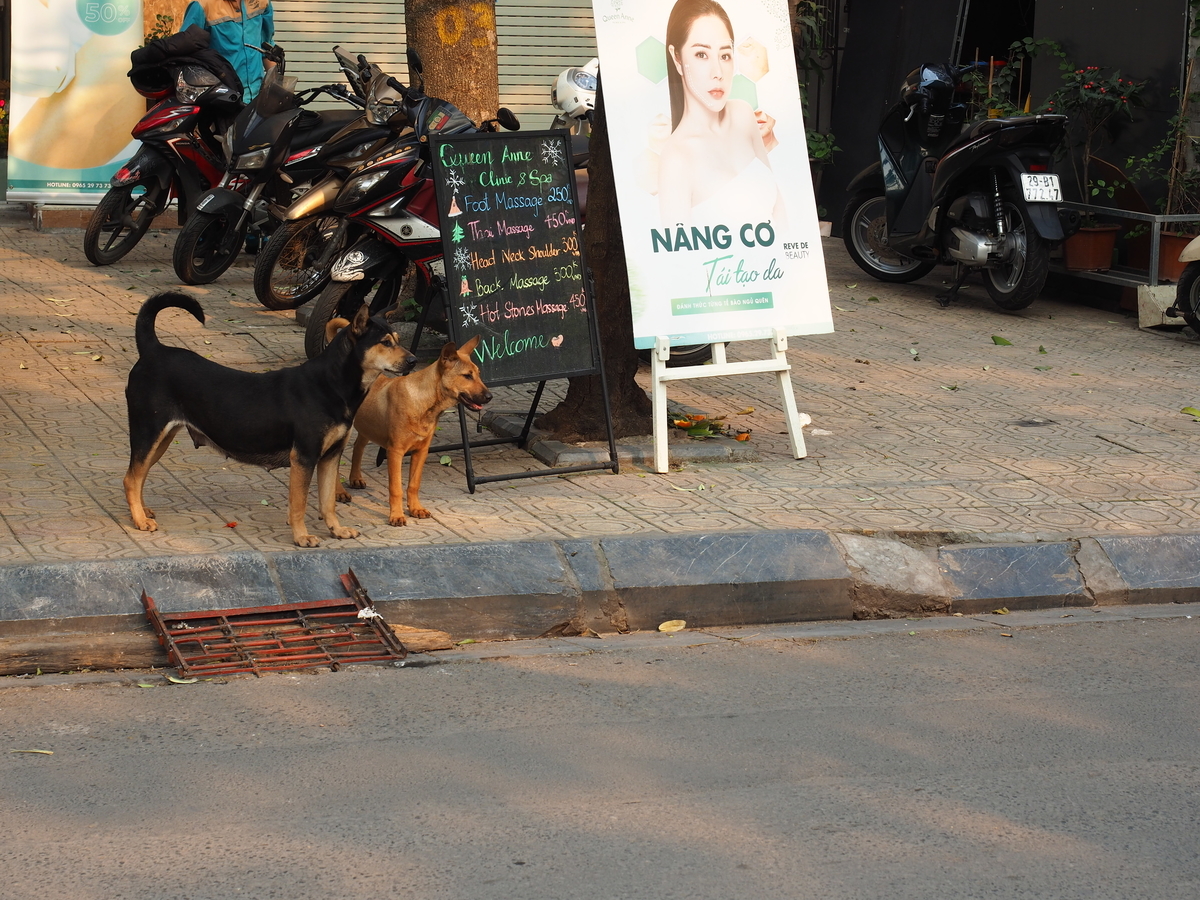 f:id:KENZ8:20200219175027j:plain