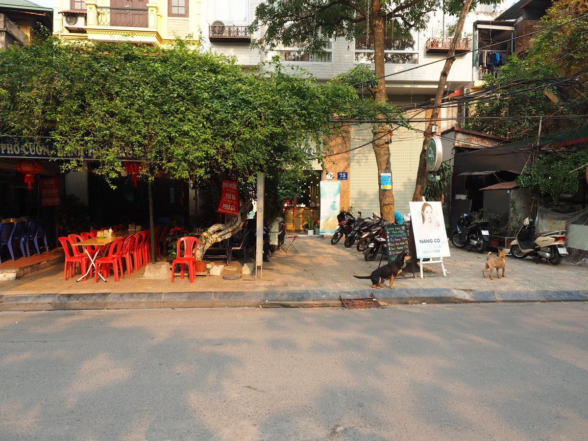 f:id:KENZ8:20200219175033j:plain