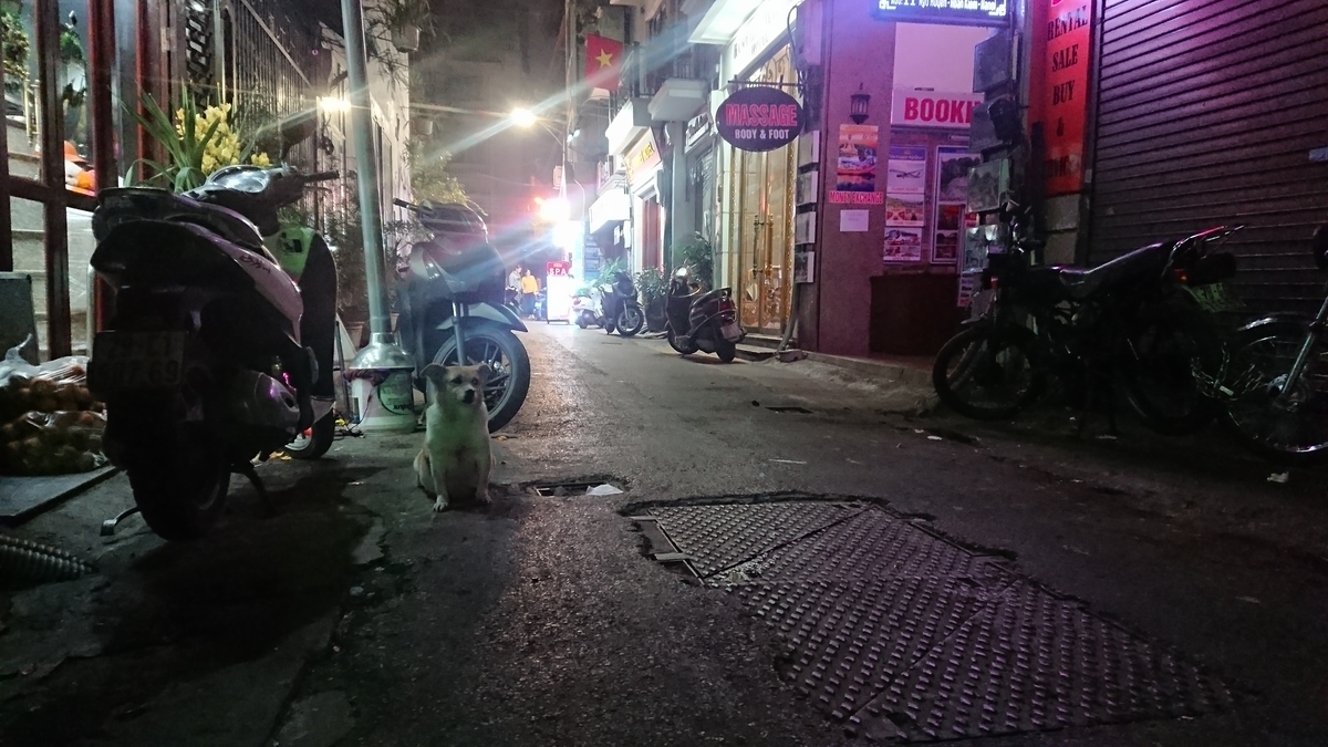 f:id:KENZ8:20200219231039j:plain