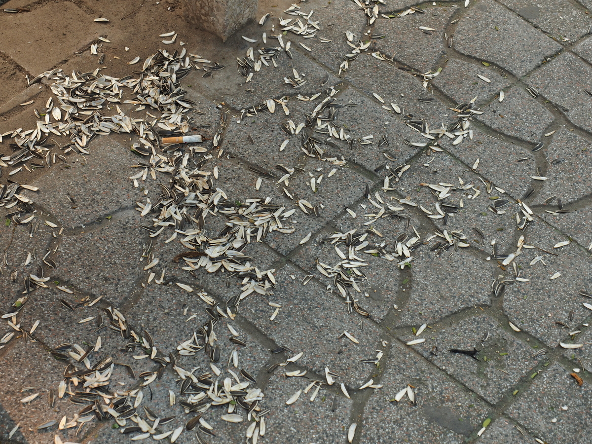 f:id:KENZ8:20200225233328j:plain