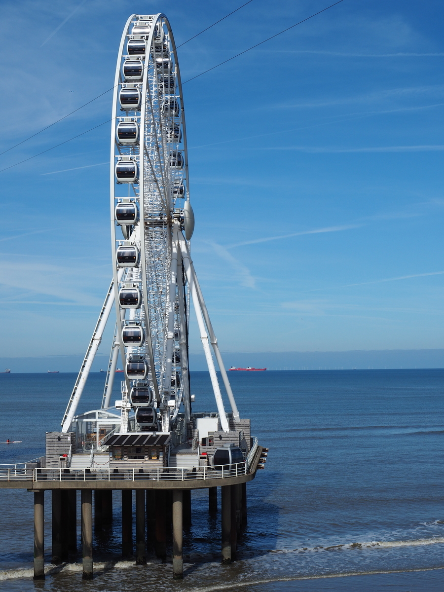 f:id:KENZ8:20210216084916j:plain