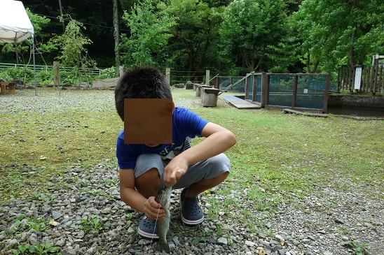 f:id:KEN_IKEHA:20190709082526j:plain