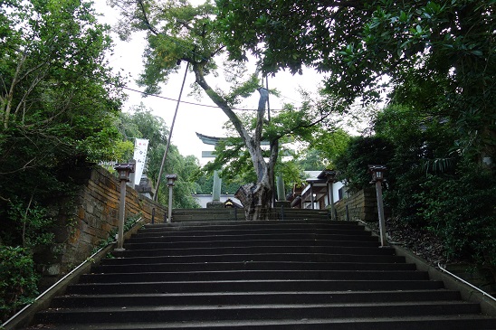 f:id:KEN_IKEHA:20190710211932j:plain