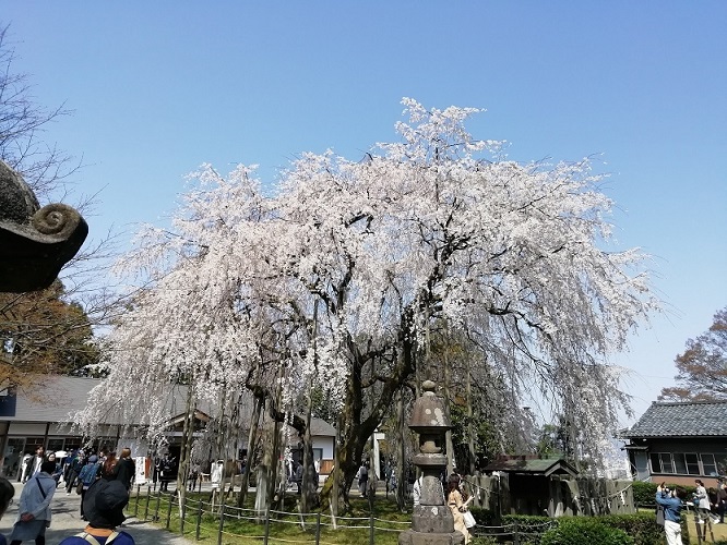 f:id:KEN_IKEHA:20190710212017j:plain
