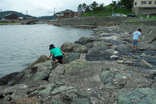 f:id:KEN_IKEHA:20190717123646j:plain