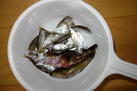 f:id:KEN_IKEHA:20190717123808j:plain