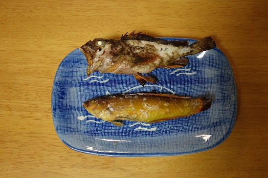 f:id:KEN_IKEHA:20190717124252j:plain