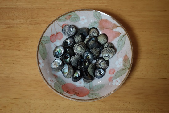 f:id:KEN_IKEHA:20190717124304j:plain