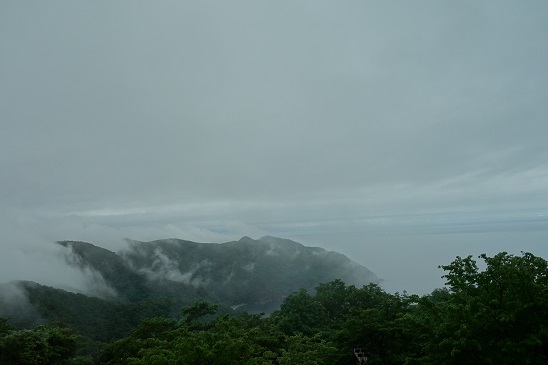 f:id:KEN_IKEHA:20190719100150j:plain