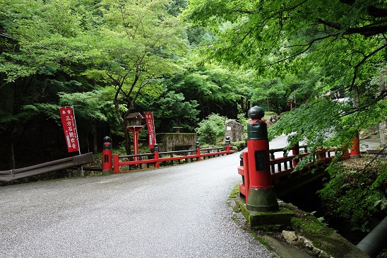 f:id:KEN_IKEHA:20190719102056j:plain