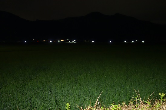 f:id:KEN_IKEHA:20190719102534j:plain