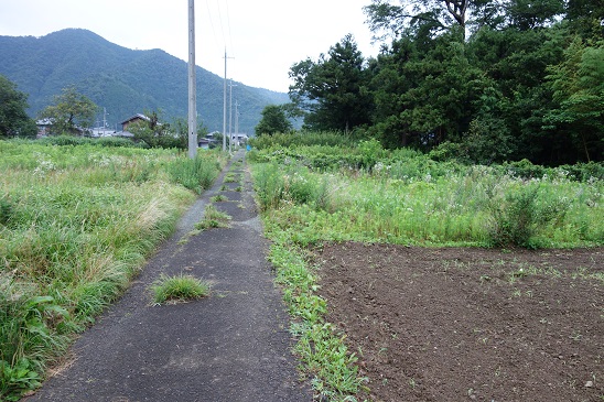 f:id:KEN_IKEHA:20190719102557j:plain