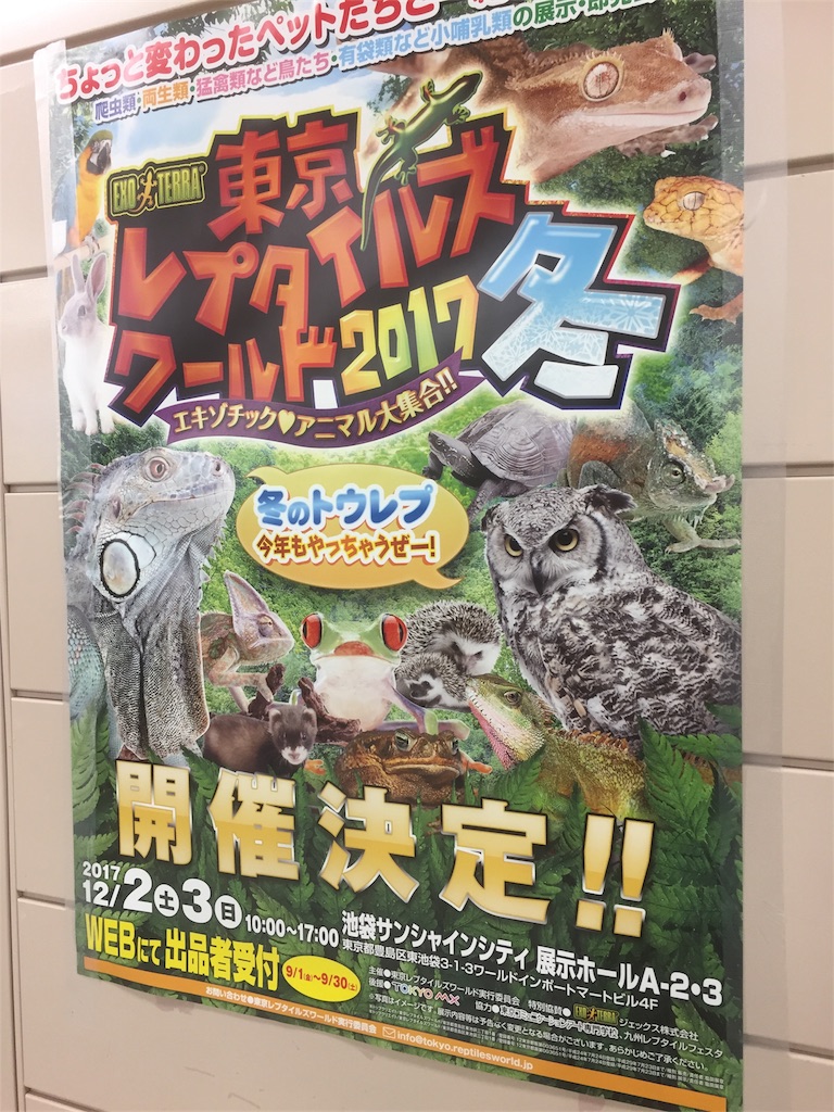 f:id:KEYAKIEBI:20170522002753j:image f:id:KEYAKIEBI:20170522002753j:image