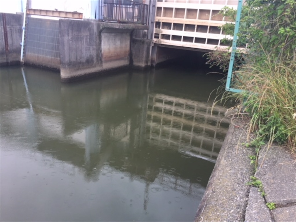 f:id:KFG:20180615205340j:image f:id:KFG:20180615205340j:image