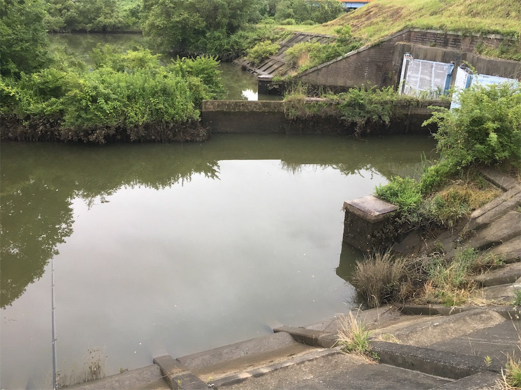 f:id:KFG:20180618192304j:image f:id:KFG:20180618192304j:image