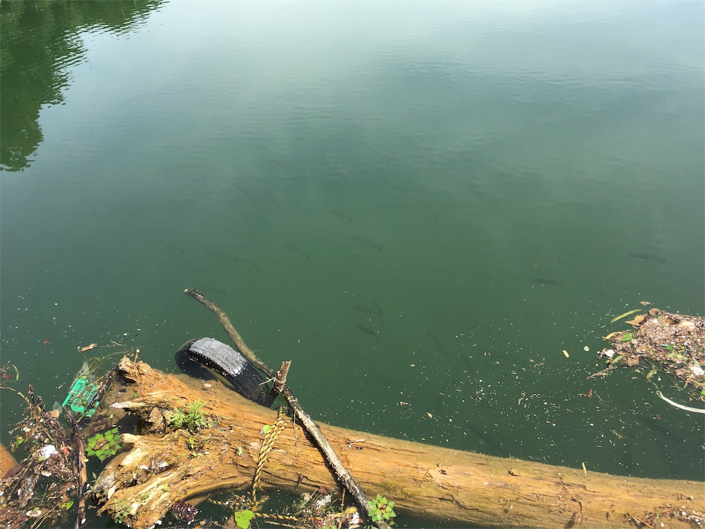 f:id:KFG:20180713205406j:image