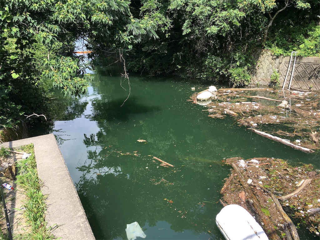 f:id:KFG:20180713205700j:image
