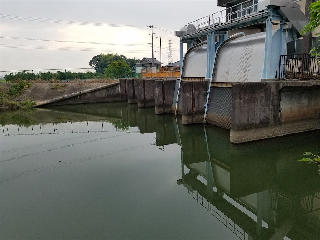 f:id:KFG:20180726080441j:image f:id:KFG:20180726080441j:image