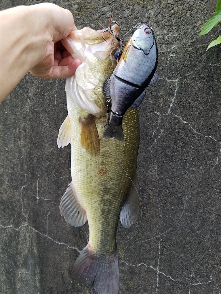 f:id:KFG:20180726081212j:image f:id:KFG:20180726081212j:image