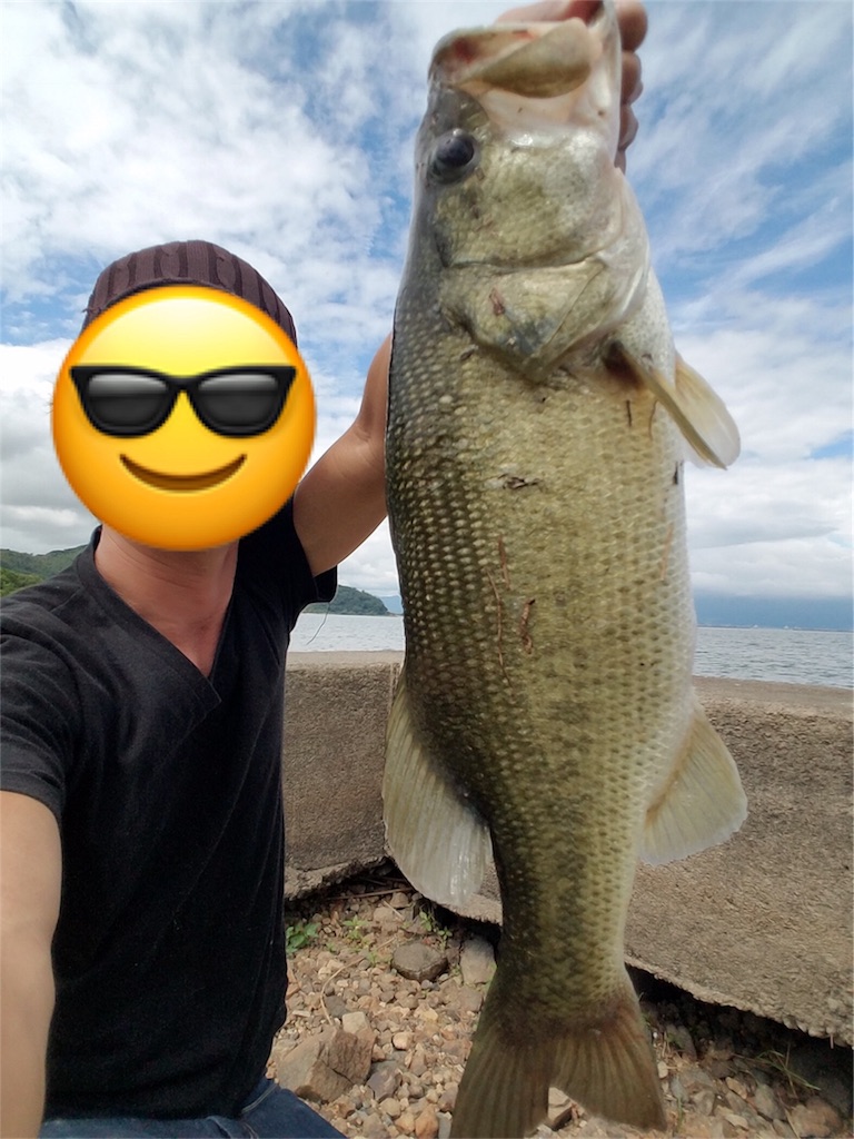 f:id:KFG:20180810134908j:image f:id:KFG:20180810134908j:image