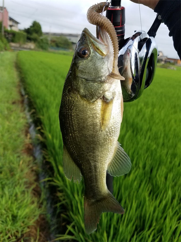 f:id:KFG:20180816220123j:image