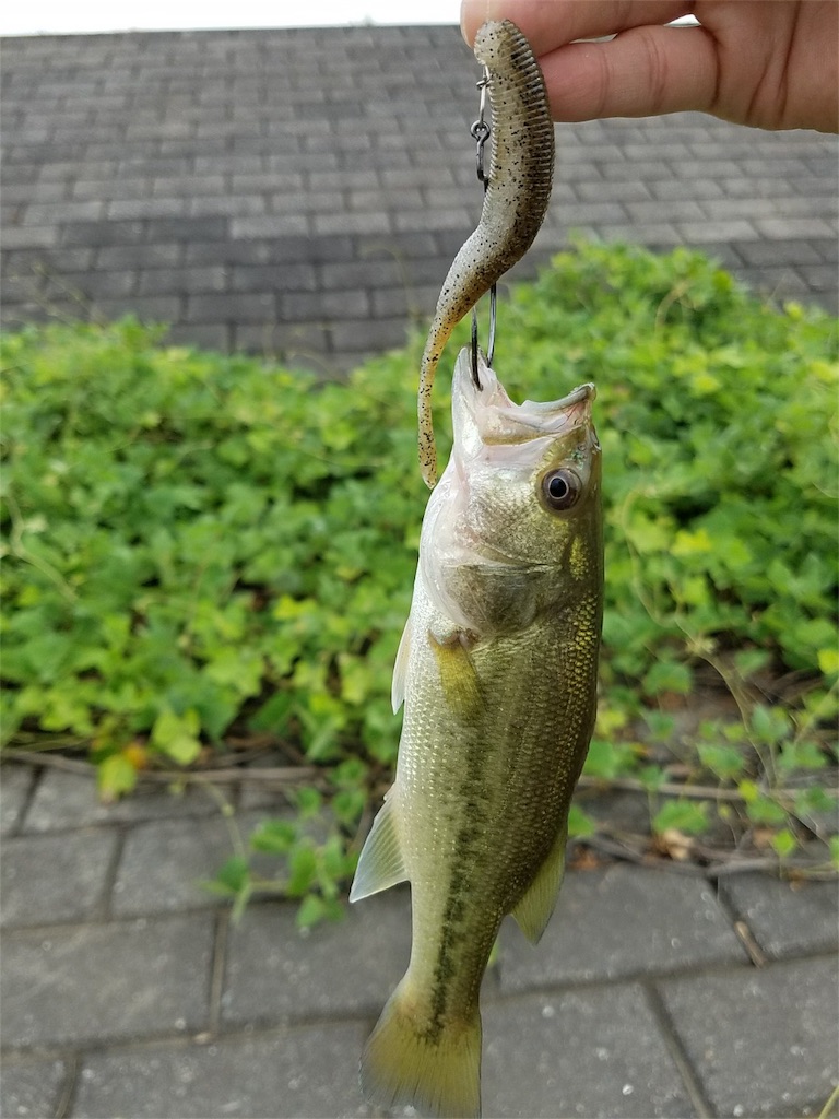 f:id:KFG:20180816220239j:image