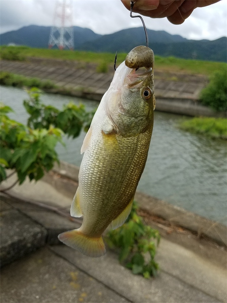 f:id:KFG:20180816220322j:image