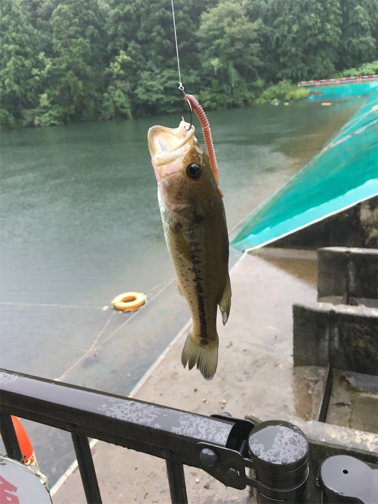 f:id:KFG:20180816235403j:image