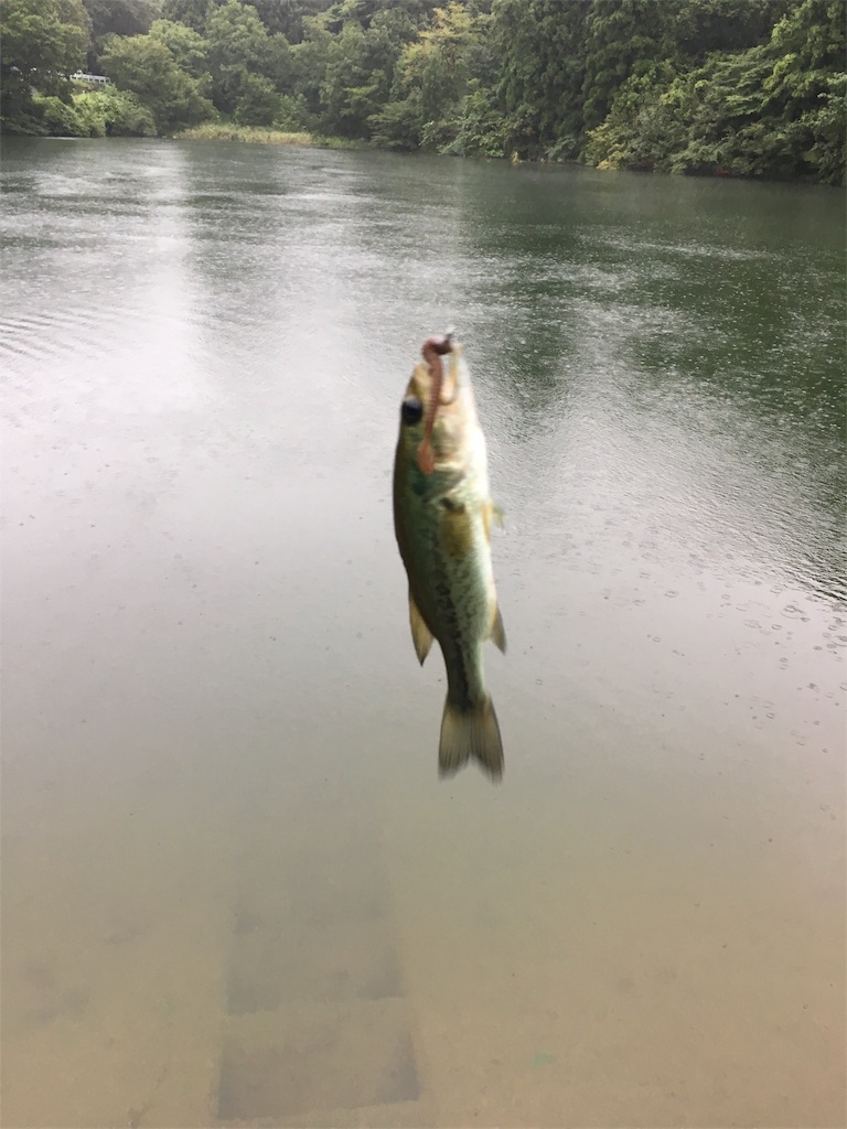 f:id:KFG:20180817000722j:image