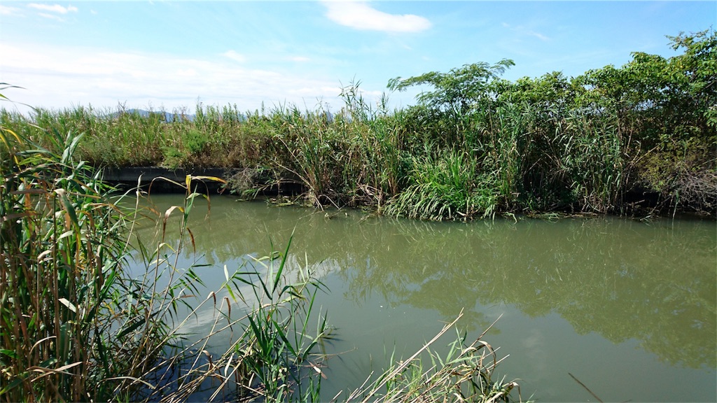 f:id:KFG:20180818191556j:image f:id:KFG:20180818191556j:image