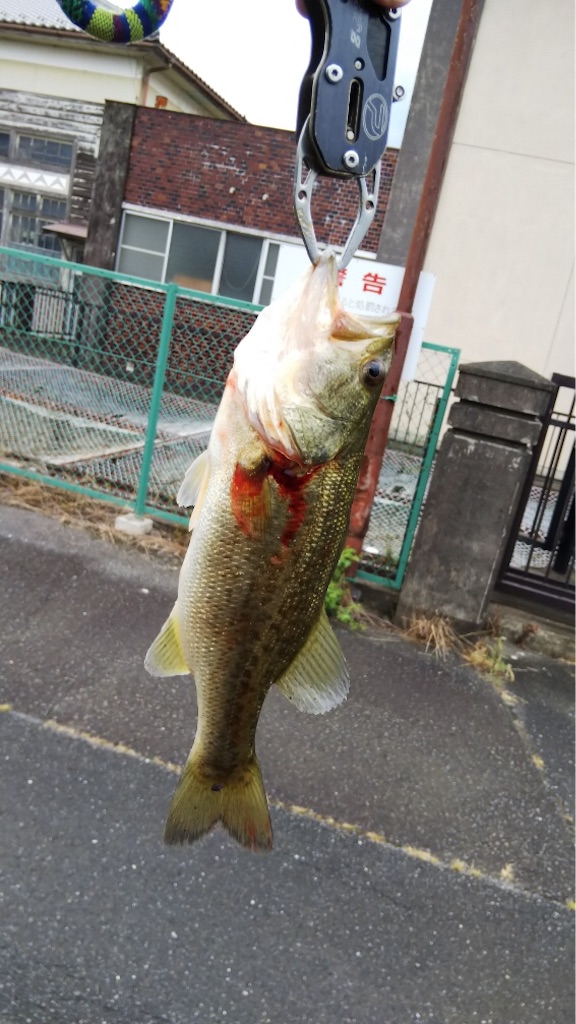f:id:KFG:20180819120837j:image