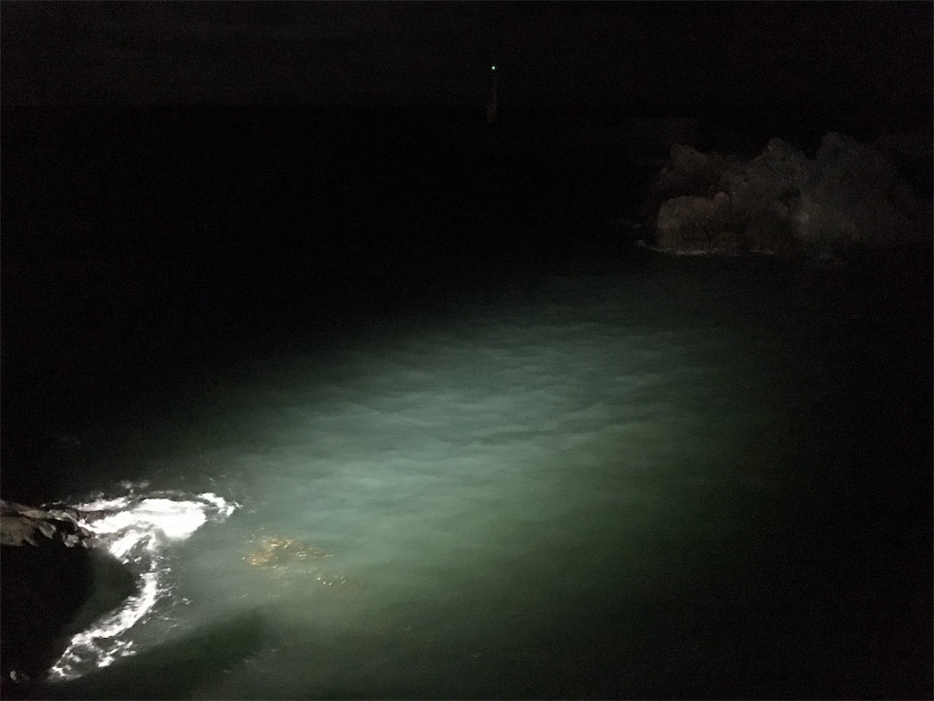 f:id:KFG:20180825073259j:image f:id:KFG:20180825073259j:image