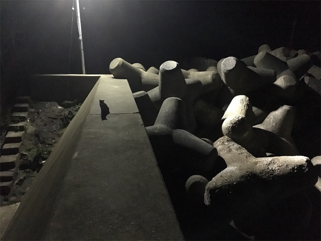 f:id:KFG:20180825073434j:image f:id:KFG:20180825073434j:image