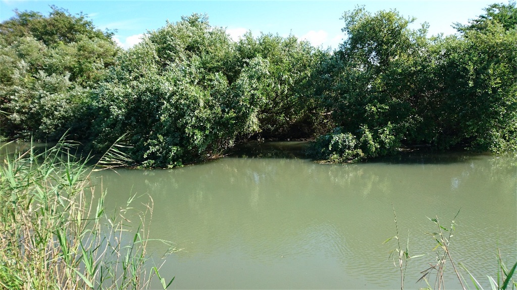 f:id:KFG:20180826201801j:image f:id:KFG:20180826201801j:image