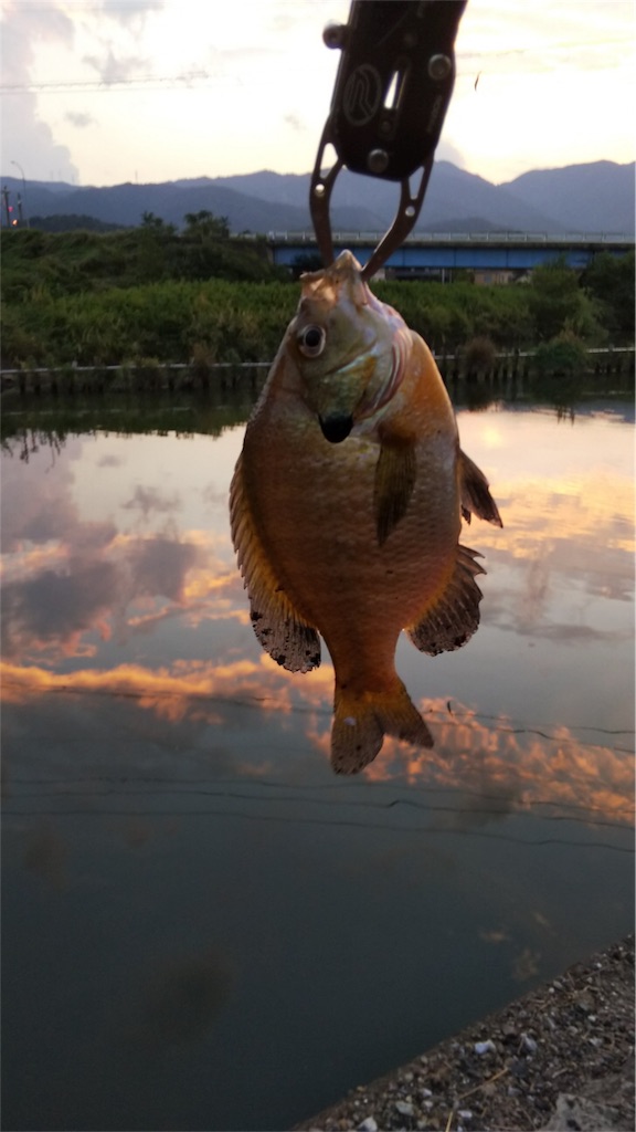 f:id:KFG:20180829213820j:image