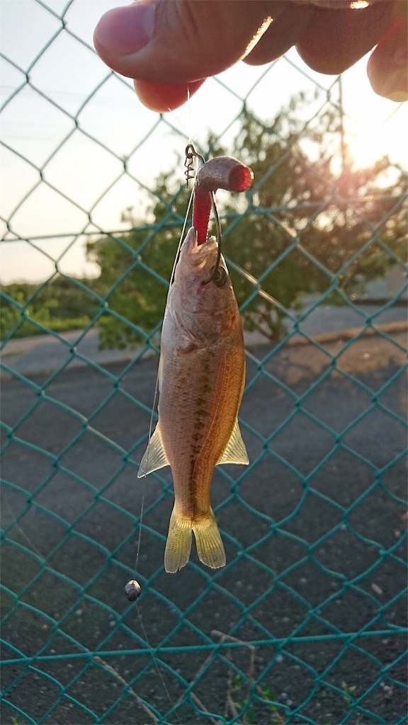 f:id:KFG:20180830080805j:image