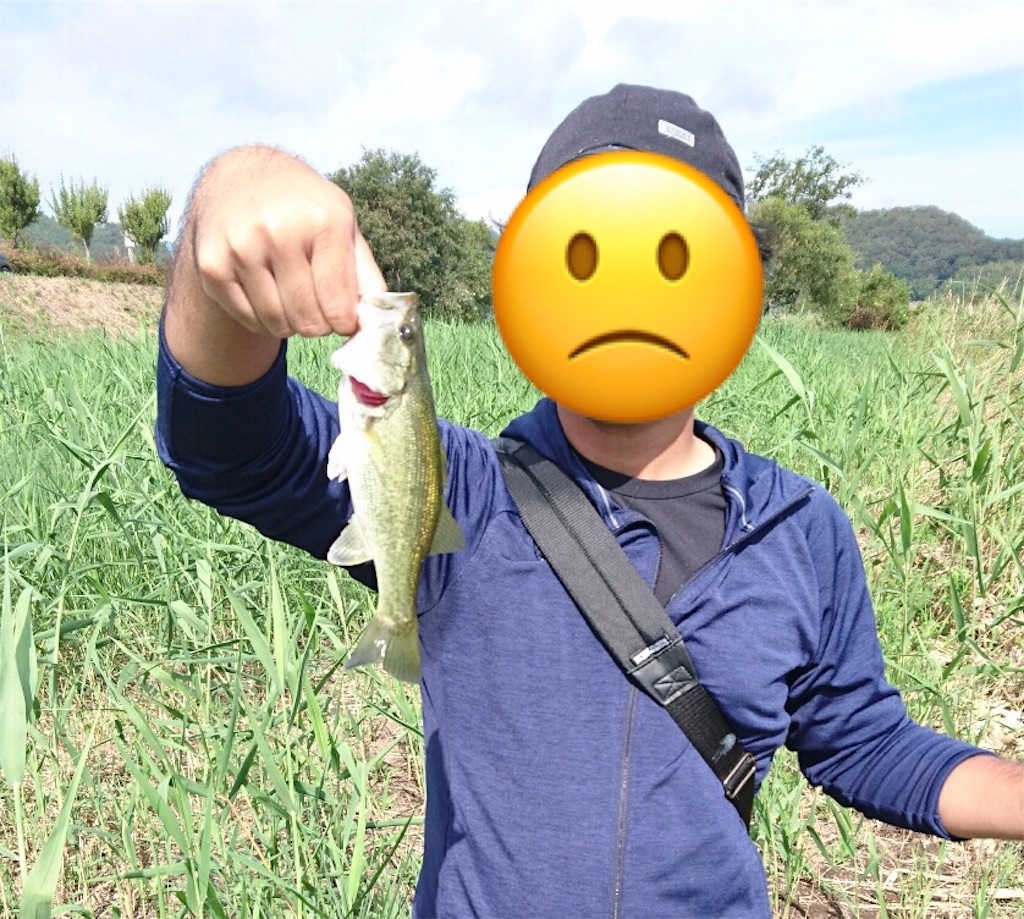 f:id:KFG:20180902224258j:image