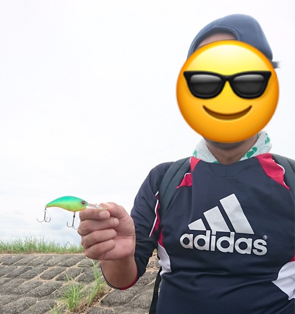 f:id:KFG:20180902224710j:image