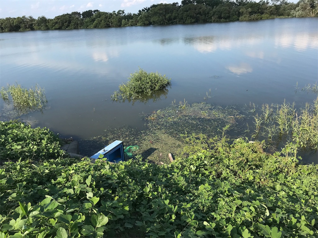 f:id:KFG:20180905161230j:image f:id:KFG:20180905161230j:image