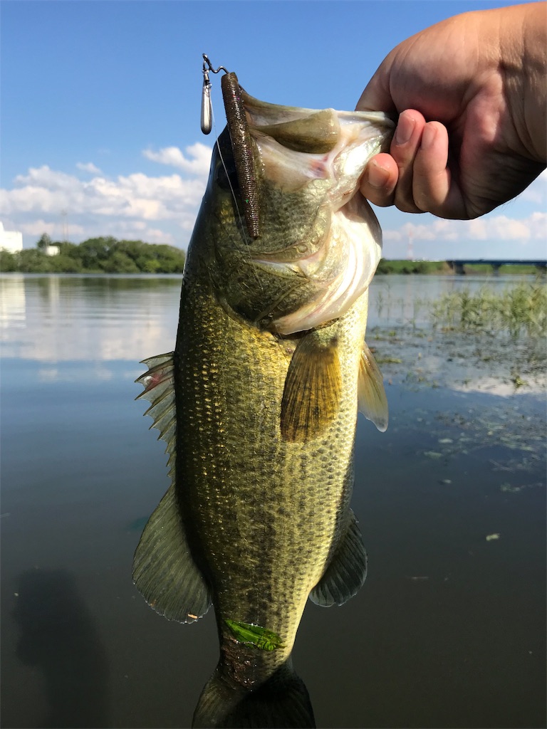 f:id:KFG:20180905161305j:image f:id:KFG:20180905161305j:image